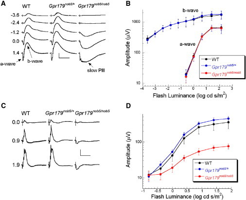 Figure 2