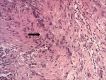 Figure 5