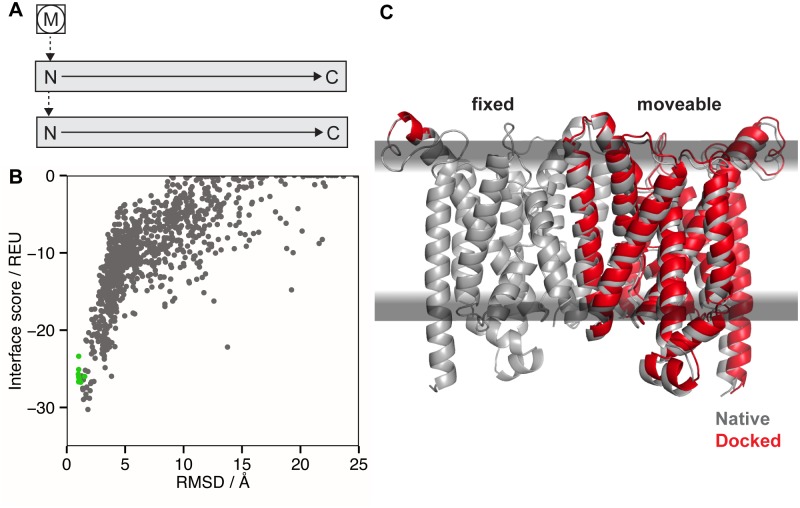 Fig 7