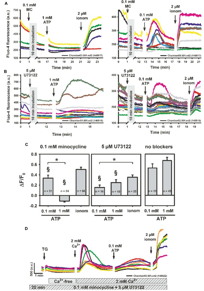 FIGURE 3