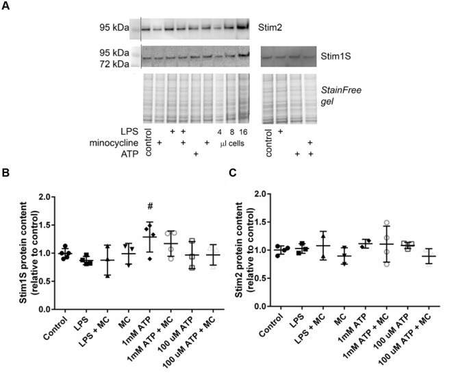 FIGURE 4