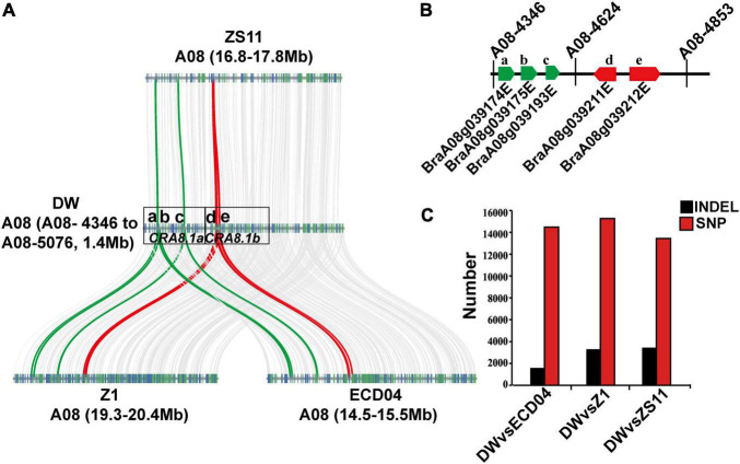 FIGURE 4