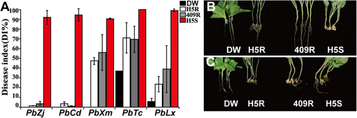 FIGURE 1