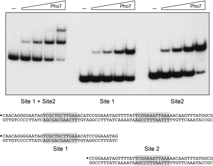 FIG 4 