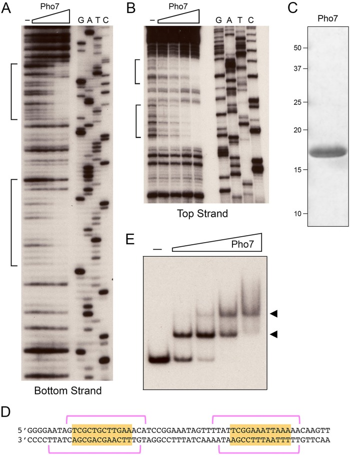 FIG 3 