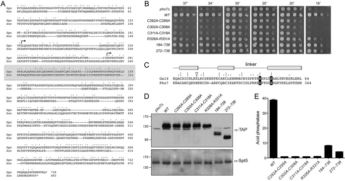 FIG 1 