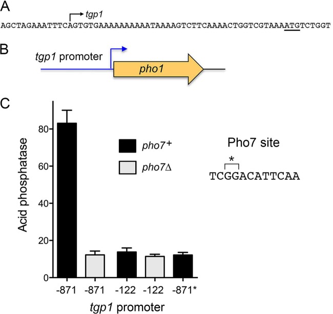 FIG 6 