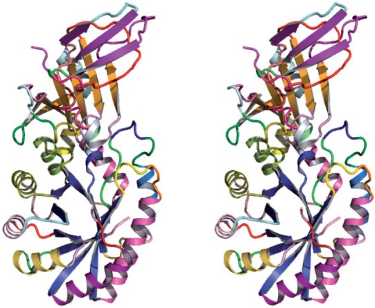 Fig. 1.