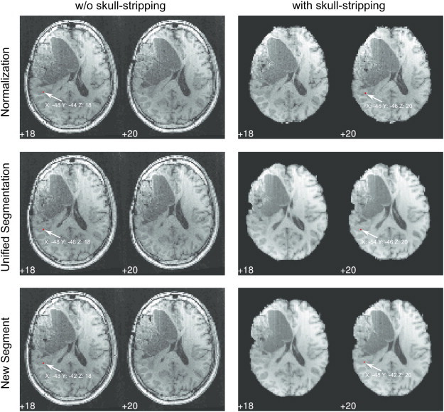 Fig. 8