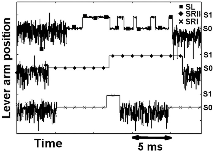 Fig 2