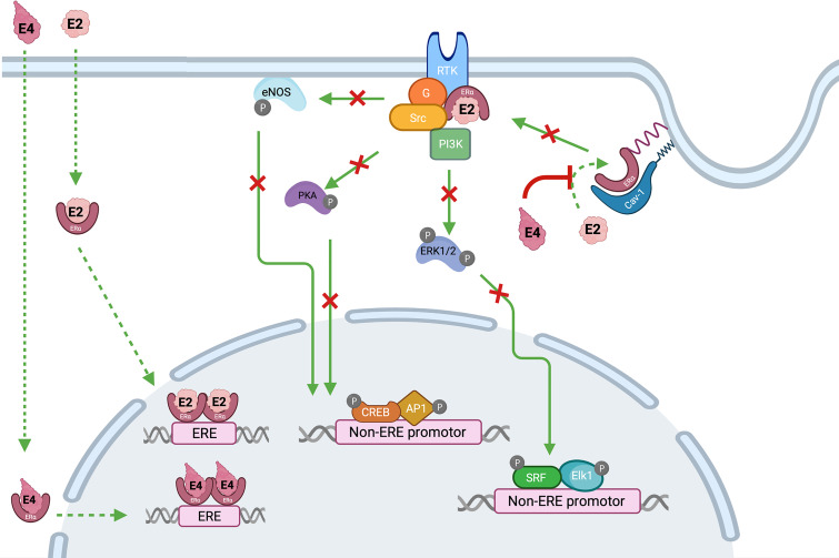 Figure 6