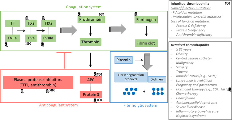 Figure 2