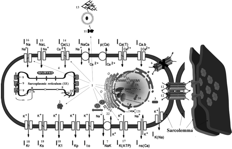 Fig. 1