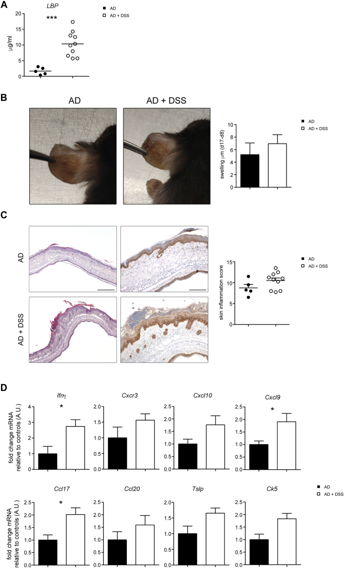 Fig E7