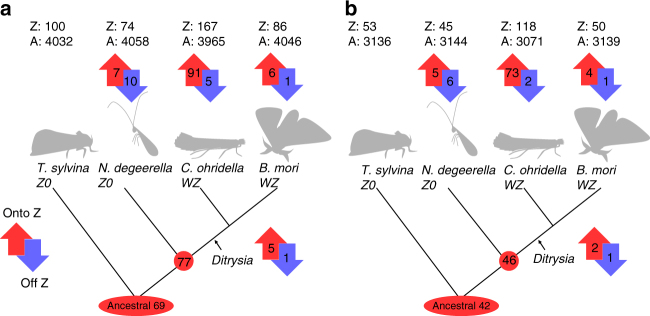 Fig. 4