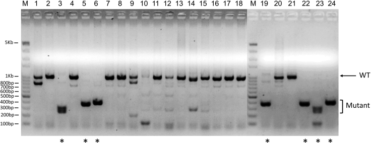 Figure 4