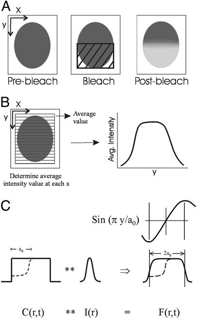 Fig 1.