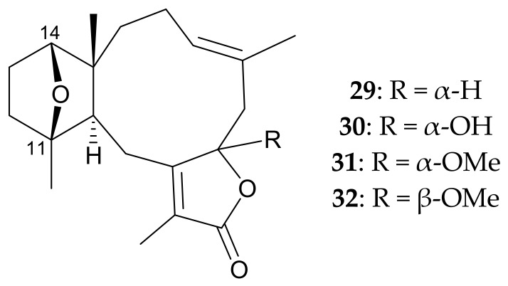 Figure 8