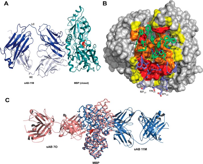 Figure 4.