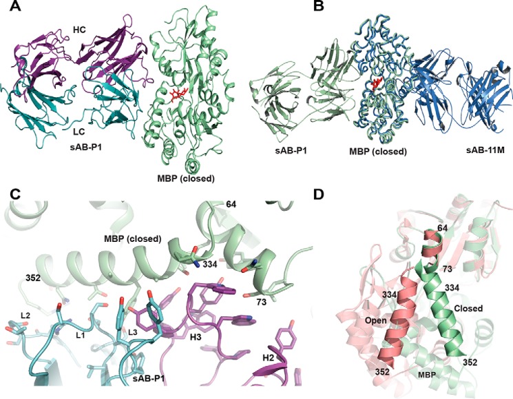 Figure 6.