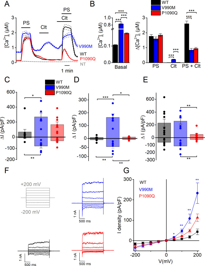 Figure 1—figure supplement 2.