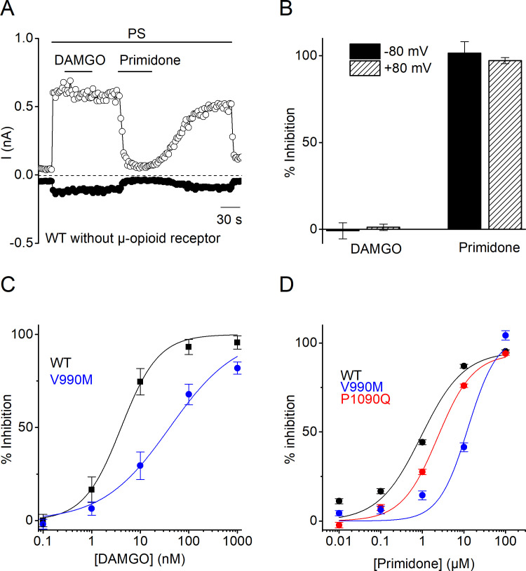 Figure 2—figure supplement 1.