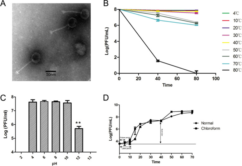 FIG 1