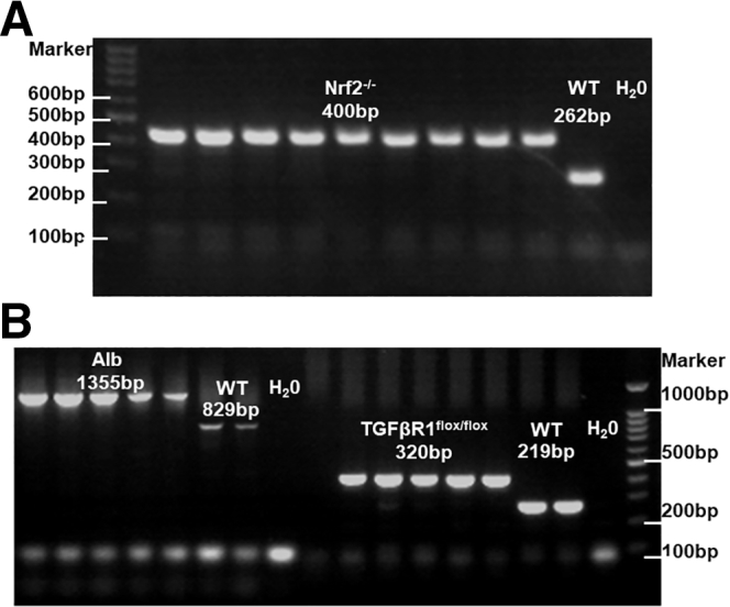 Figure 14