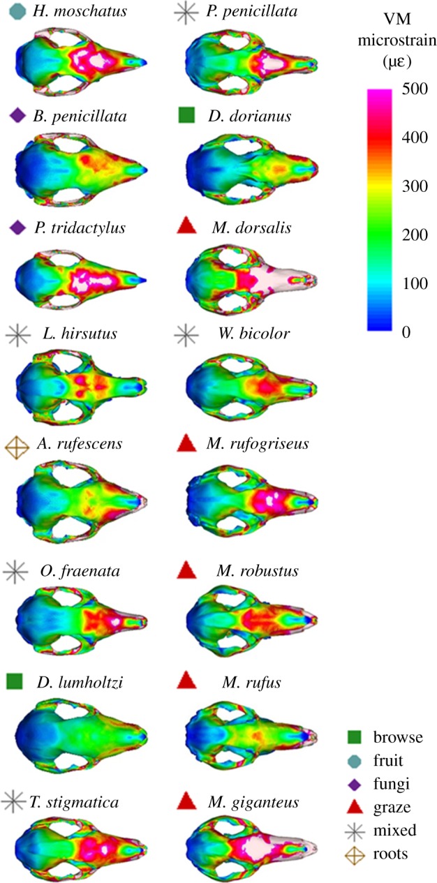 Figure 6.