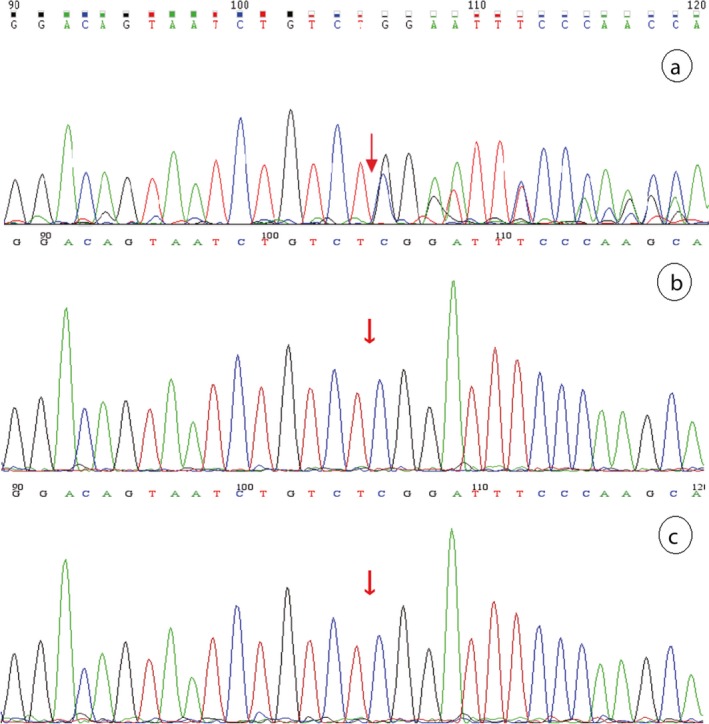 Figure 9