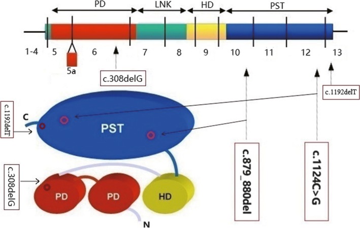 Figure 11