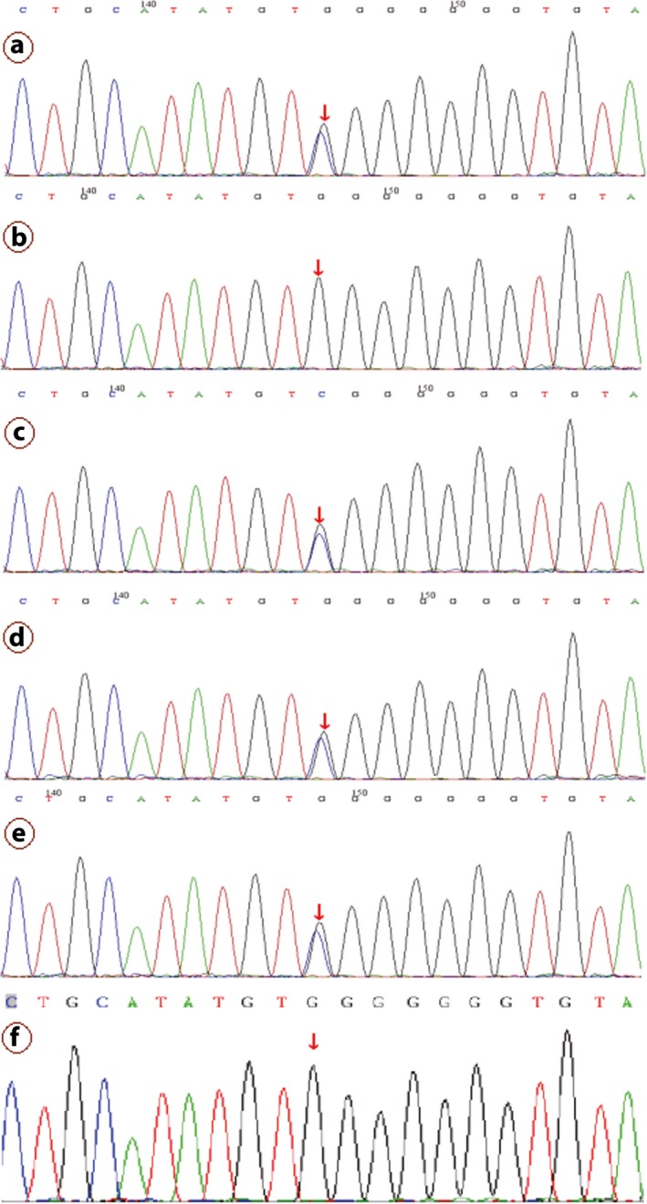 Figure 7