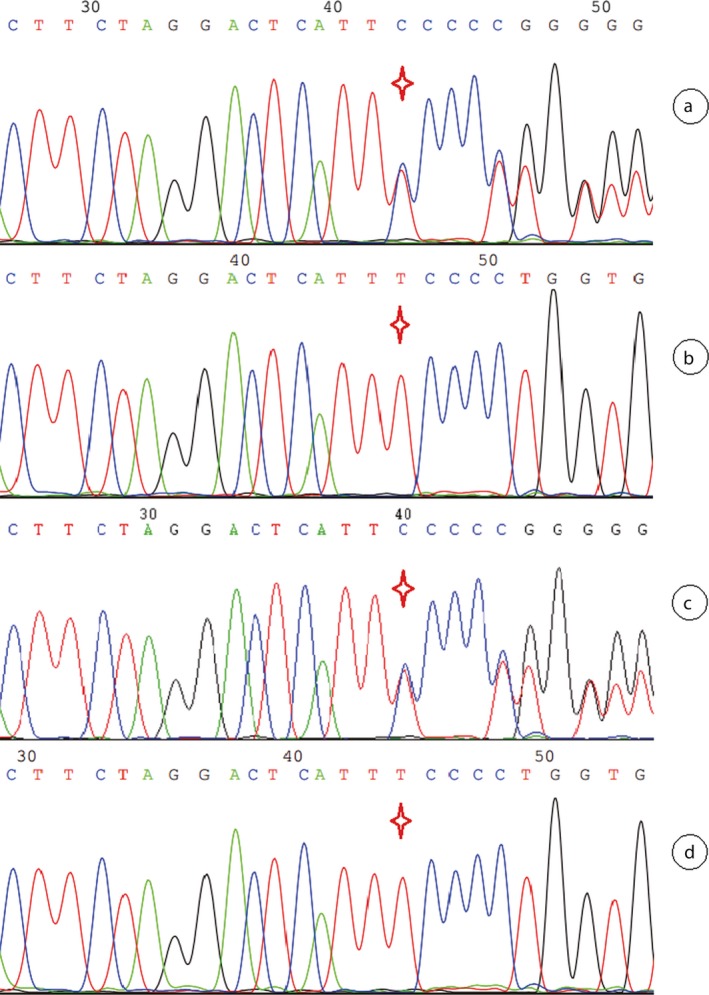 Figure 10