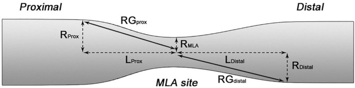 FIGURE 2