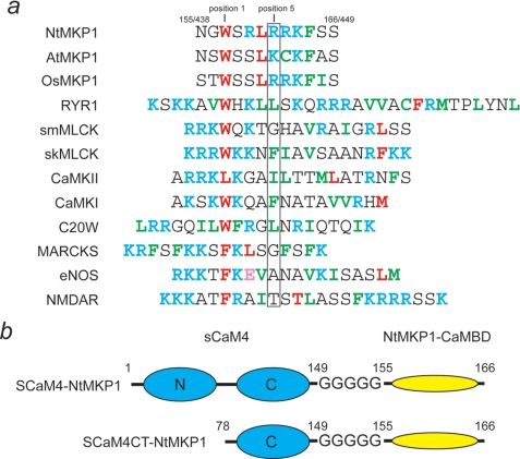 FIGURE 1.