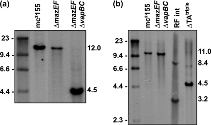 FIGURE 5.