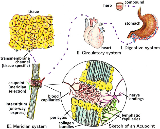 Fig. 7