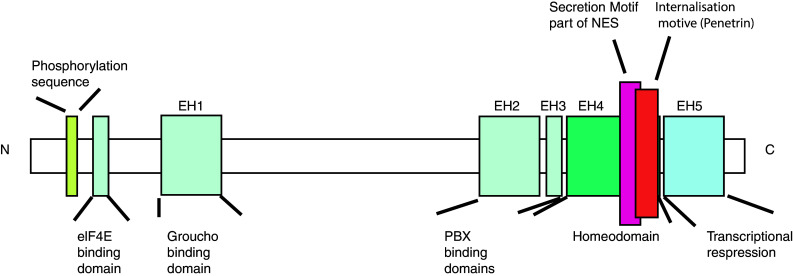 Fig. 1