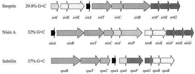 FIG. 8.