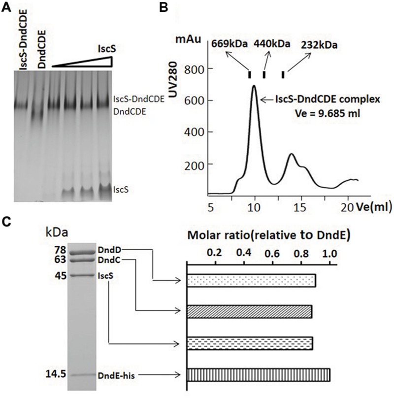 FIGURE 3