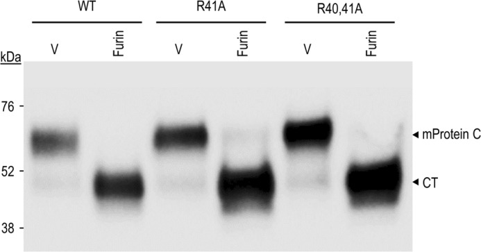 Figure 10.