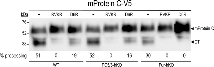 Figure 6.