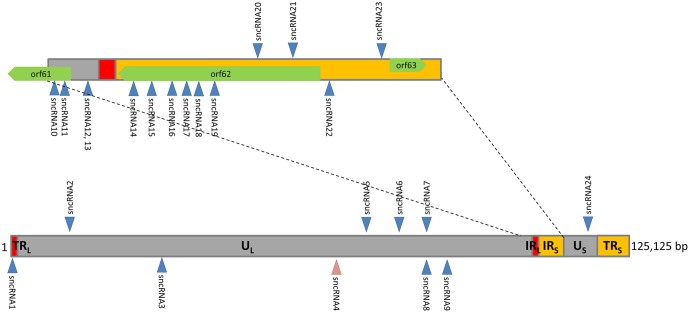 FIG 2