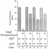 FIG. 7