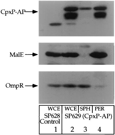 FIG. 6