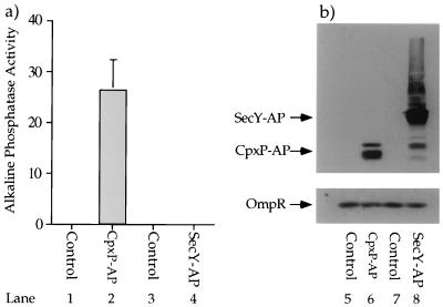 FIG. 5