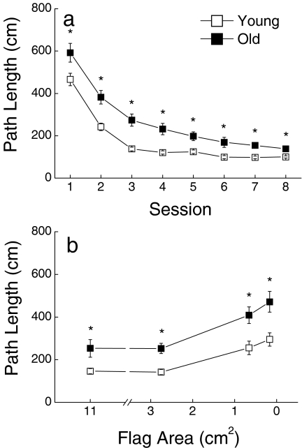 Figure 7