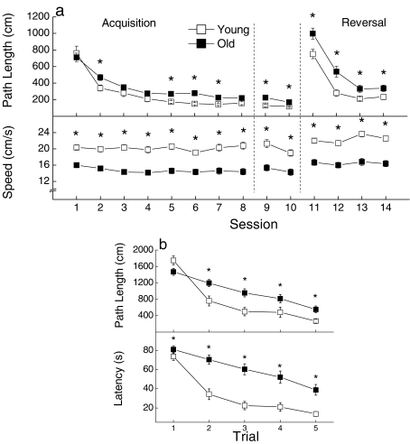 Figure 5