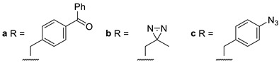 graphic file with name molecules-24-00206-i005.jpg