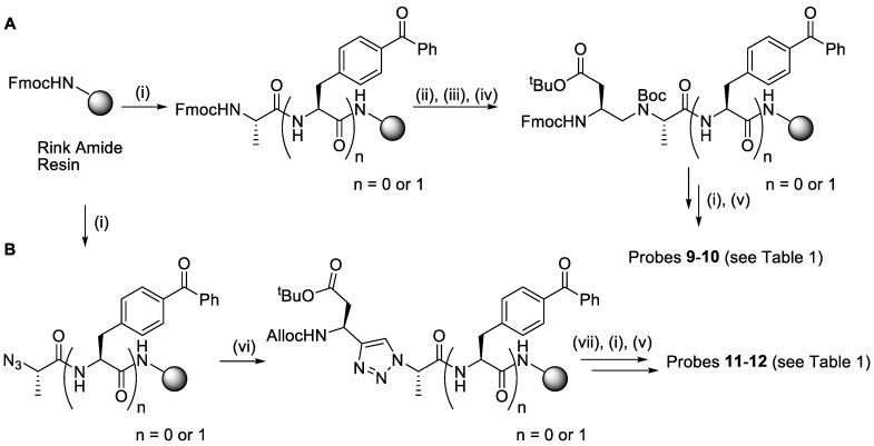 Scheme 2